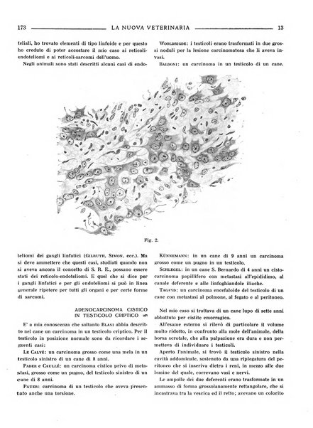 La nuova veterinaria rivista mensile fondata e diretta da Alessandro Lanfranchi