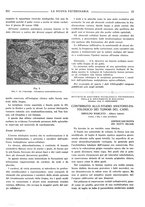 giornale/TO00190201/1934/unico/00000221