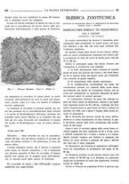 giornale/TO00190201/1934/unico/00000305