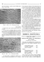 giornale/TO00190201/1934/unico/00000335