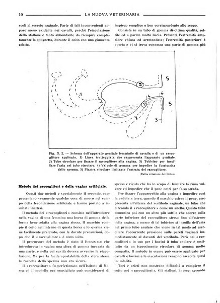 La nuova veterinaria rivista mensile fondata e diretta da Alessandro Lanfranchi