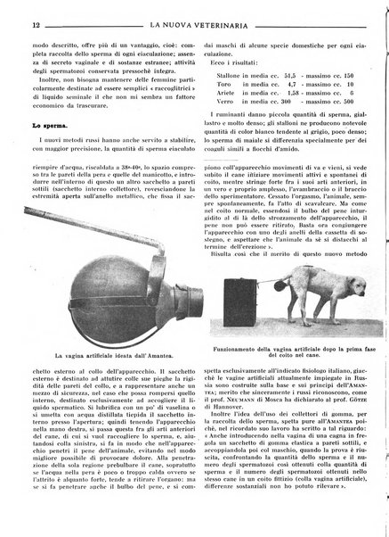 La nuova veterinaria rivista mensile fondata e diretta da Alessandro Lanfranchi