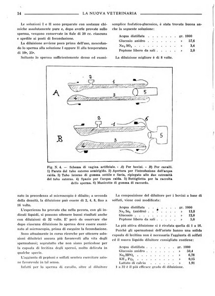 La nuova veterinaria rivista mensile fondata e diretta da Alessandro Lanfranchi