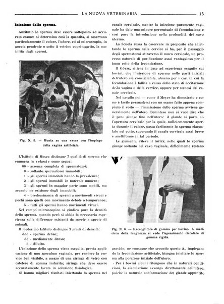 La nuova veterinaria rivista mensile fondata e diretta da Alessandro Lanfranchi