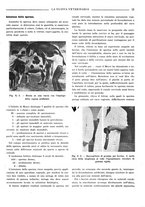 giornale/TO00190201/1935/unico/00000021