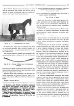 giornale/TO00190201/1935/unico/00000025