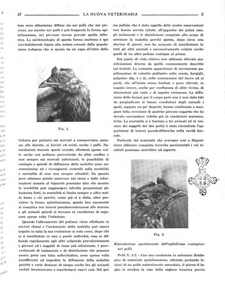 La nuova veterinaria rivista mensile fondata e diretta da Alessandro Lanfranchi