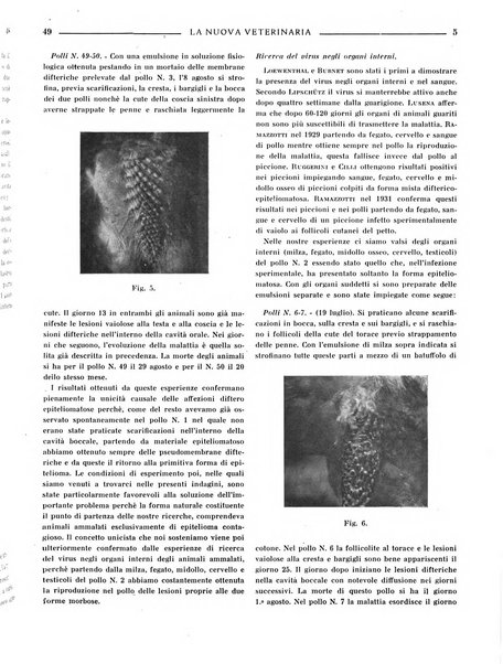 La nuova veterinaria rivista mensile fondata e diretta da Alessandro Lanfranchi