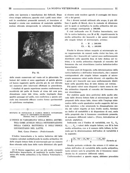 La nuova veterinaria rivista mensile fondata e diretta da Alessandro Lanfranchi