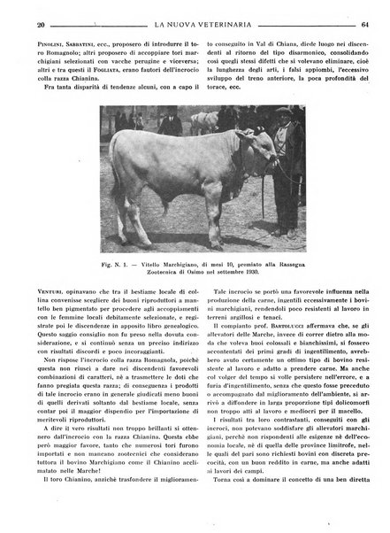 La nuova veterinaria rivista mensile fondata e diretta da Alessandro Lanfranchi