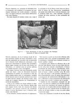 giornale/TO00190201/1935/unico/00000074