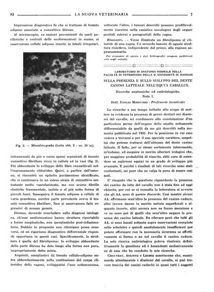 La nuova veterinaria rivista mensile fondata e diretta da Alessandro Lanfranchi