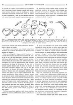 giornale/TO00190201/1935/unico/00000099