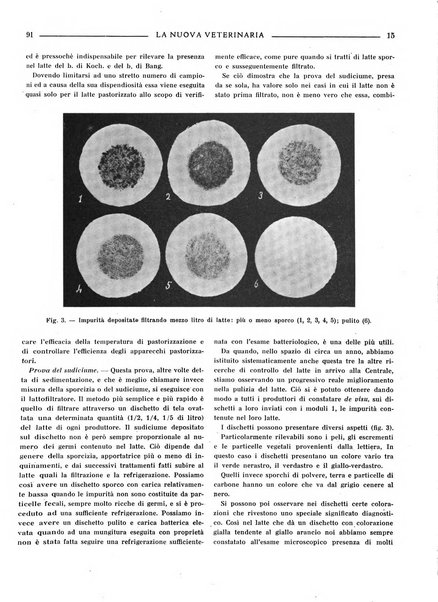 La nuova veterinaria rivista mensile fondata e diretta da Alessandro Lanfranchi