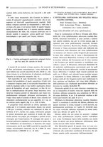 giornale/TO00190201/1935/unico/00000107