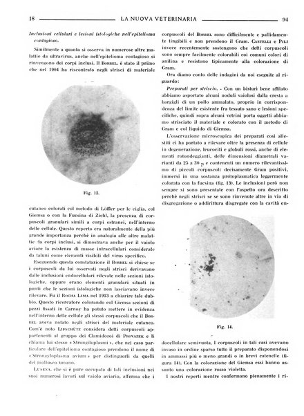 La nuova veterinaria rivista mensile fondata e diretta da Alessandro Lanfranchi