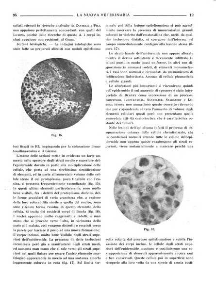 La nuova veterinaria rivista mensile fondata e diretta da Alessandro Lanfranchi