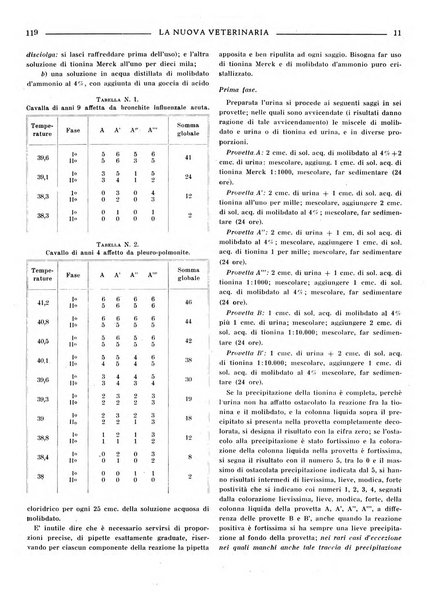 La nuova veterinaria rivista mensile fondata e diretta da Alessandro Lanfranchi