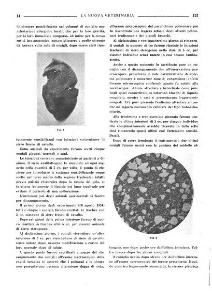 La nuova veterinaria rivista mensile fondata e diretta da Alessandro Lanfranchi