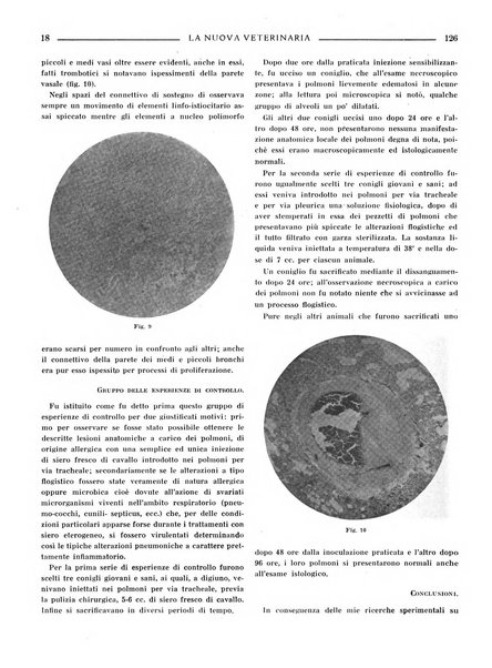 La nuova veterinaria rivista mensile fondata e diretta da Alessandro Lanfranchi