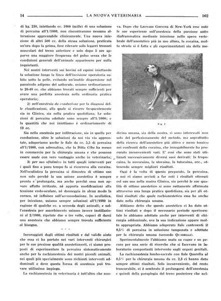 La nuova veterinaria rivista mensile fondata e diretta da Alessandro Lanfranchi