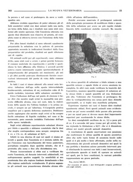 La nuova veterinaria rivista mensile fondata e diretta da Alessandro Lanfranchi