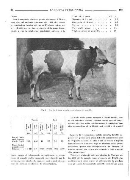 La nuova veterinaria rivista mensile fondata e diretta da Alessandro Lanfranchi