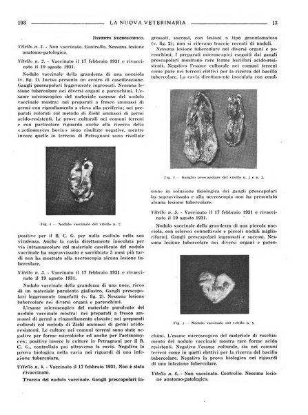 La nuova veterinaria rivista mensile fondata e diretta da Alessandro Lanfranchi