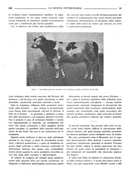 La nuova veterinaria rivista mensile fondata e diretta da Alessandro Lanfranchi