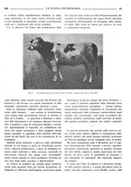 giornale/TO00190201/1935/unico/00000245