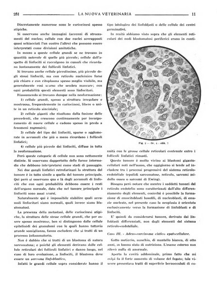 La nuova veterinaria rivista mensile fondata e diretta da Alessandro Lanfranchi