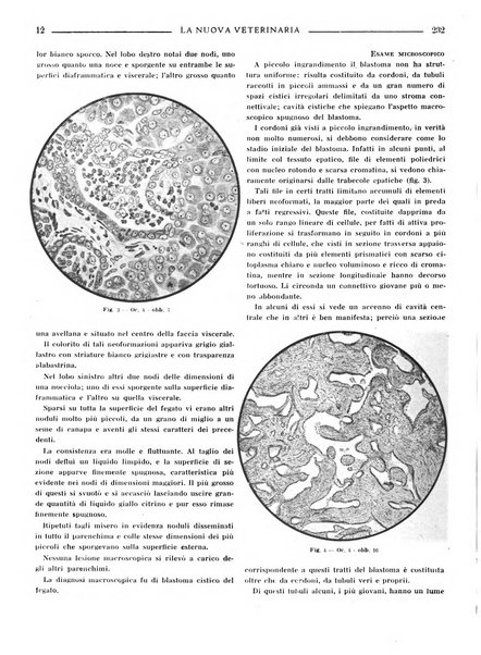 La nuova veterinaria rivista mensile fondata e diretta da Alessandro Lanfranchi