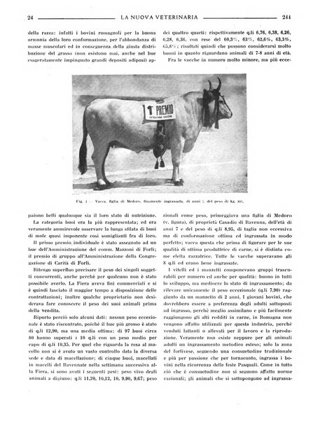 La nuova veterinaria rivista mensile fondata e diretta da Alessandro Lanfranchi