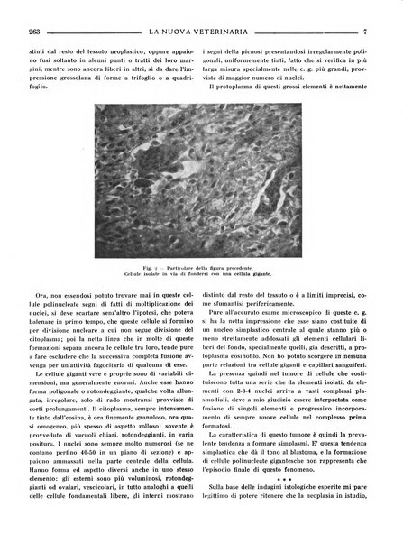 La nuova veterinaria rivista mensile fondata e diretta da Alessandro Lanfranchi