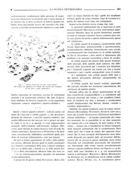 La nuova veterinaria rivista mensile fondata e diretta da Alessandro Lanfranchi