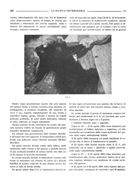 La nuova veterinaria rivista mensile fondata e diretta da Alessandro Lanfranchi