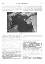 giornale/TO00190201/1935/unico/00000311