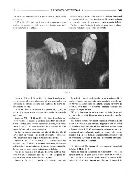 La nuova veterinaria rivista mensile fondata e diretta da Alessandro Lanfranchi