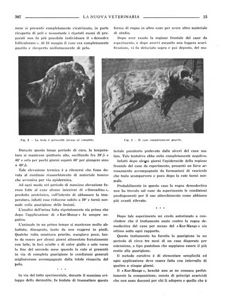 La nuova veterinaria rivista mensile fondata e diretta da Alessandro Lanfranchi