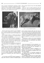 giornale/TO00190201/1935/unico/00000355