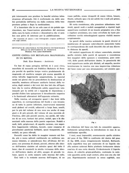 La nuova veterinaria rivista mensile fondata e diretta da Alessandro Lanfranchi