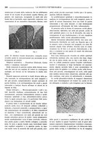 giornale/TO00190201/1935/unico/00000357