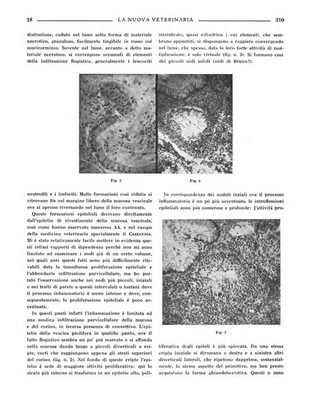 La nuova veterinaria rivista mensile fondata e diretta da Alessandro Lanfranchi