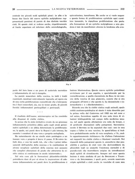 La nuova veterinaria rivista mensile fondata e diretta da Alessandro Lanfranchi