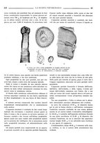 giornale/TO00190201/1935/unico/00000363