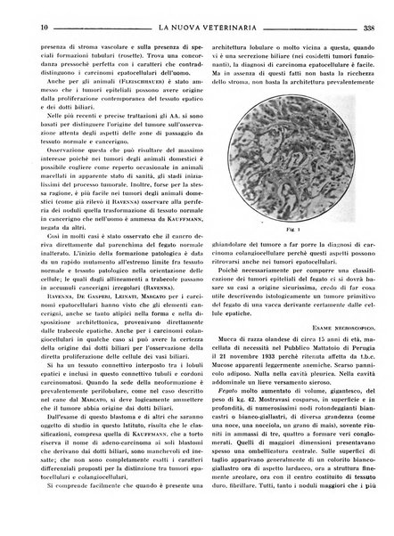 La nuova veterinaria rivista mensile fondata e diretta da Alessandro Lanfranchi