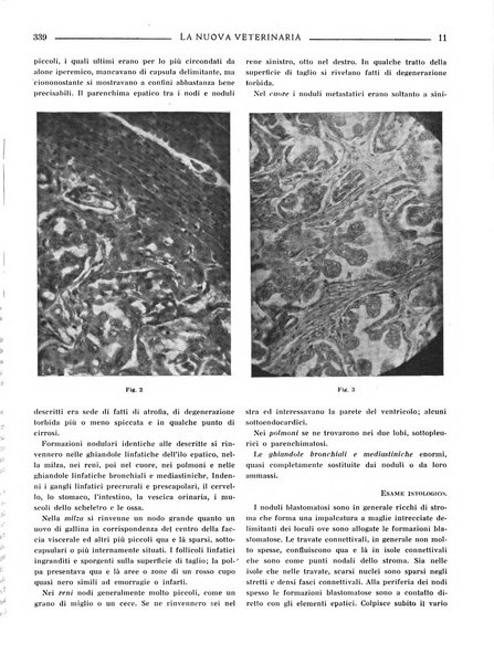 La nuova veterinaria rivista mensile fondata e diretta da Alessandro Lanfranchi