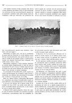 giornale/TO00190201/1935/unico/00000399
