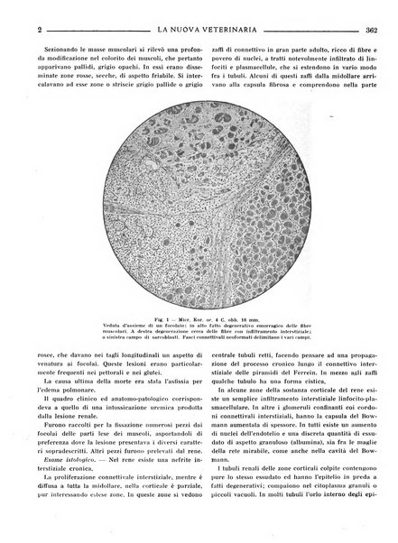 La nuova veterinaria rivista mensile fondata e diretta da Alessandro Lanfranchi