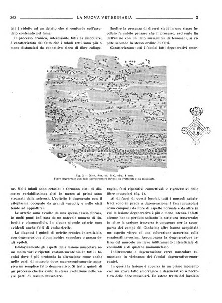 La nuova veterinaria rivista mensile fondata e diretta da Alessandro Lanfranchi